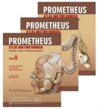 Prometheus: Atlas Anatomi Manusia (Edisi 5) (Paket 3 Set)