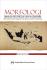 Morfologi Bahasa Indonesia dan Nusantara: Morfologi Tujuh Bahasa Anggota Rumpun Austronesia dalam Perbandingan