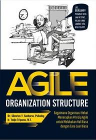 Agile Organization Structure