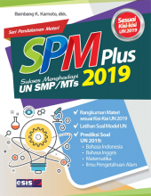 SPM Plus: UN SMP/MTs 2019
