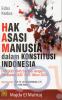 Hak Asasi Manusia dalam Konstitusi Indonesia: Dari UUD 1945 sampai dengan Perubahan UUD 1945 Tahun 2002 (Edisi 2)