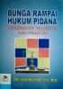 Bunga Rampai Hukum Pidana: Perspektif, Teoretis dan Praktik