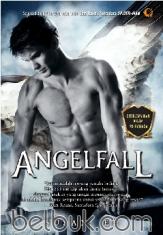 Angel Fall