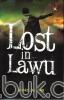 Lost In Lawu