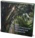 The Spectacular Indonesian Bamboos