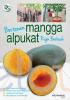 Bertanam Mangga Alpukat Rajin Berbuah