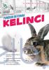 Panduan Beternak Kelinci