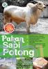 Pakan Sapi Potong