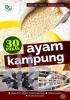 30 Pakan Ayam Kampung