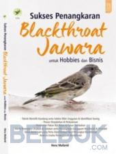 Sukses Penangkaran Blackthroat Jawara Untuk Hobbies dan Bisnis