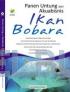 Panen Untung Dari Akuabisnis Ikan Bobara
