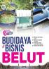 Budidaya dan Bisnis Belut
