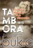 Tambora 1815: Letusan Raksasa dari Indonesia
