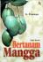 Bertanam Mangga